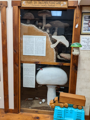 Gift Shop «The Mushroom Cap», reviews and photos, 114 W State St, Kennett Square, PA 19348, USA