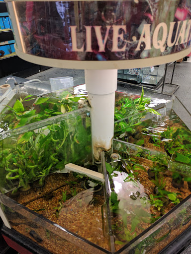 Pet Supply Store «Petco Animal Supplies», reviews and photos, 8700 Preston Rd #105, Plano, TX 75024, USA