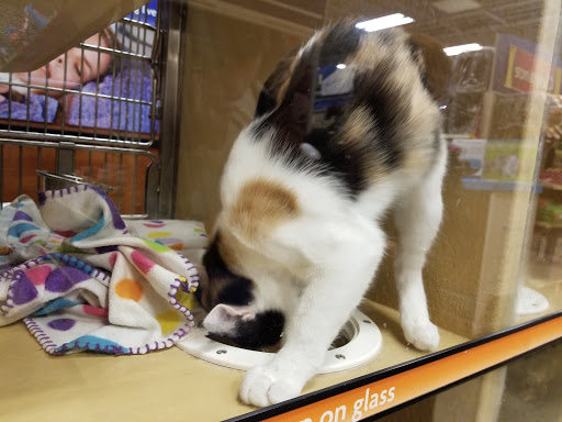 Pet Supply Store «PetSmart», reviews and photos, 13923 Cedar Rd, South Euclid, OH 44118, USA