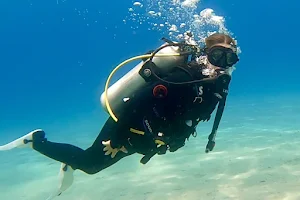 Sea world scuba diving center image