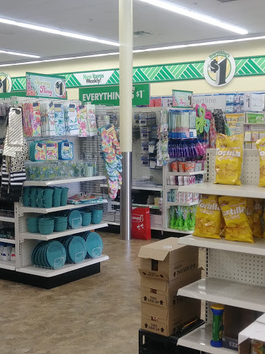 Dollar Store «Dollar Tree», reviews and photos, 17418 Northwest Fwy, Jersey Village, TX 77040, USA