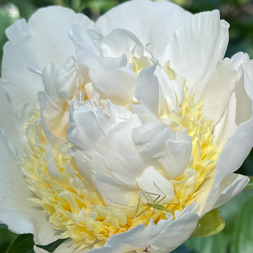 Real Estate Agency «Hank Cosby Real Estate», reviews and photos, 3812 Old Buckingham Road, Powhatan, VA 23139, USA