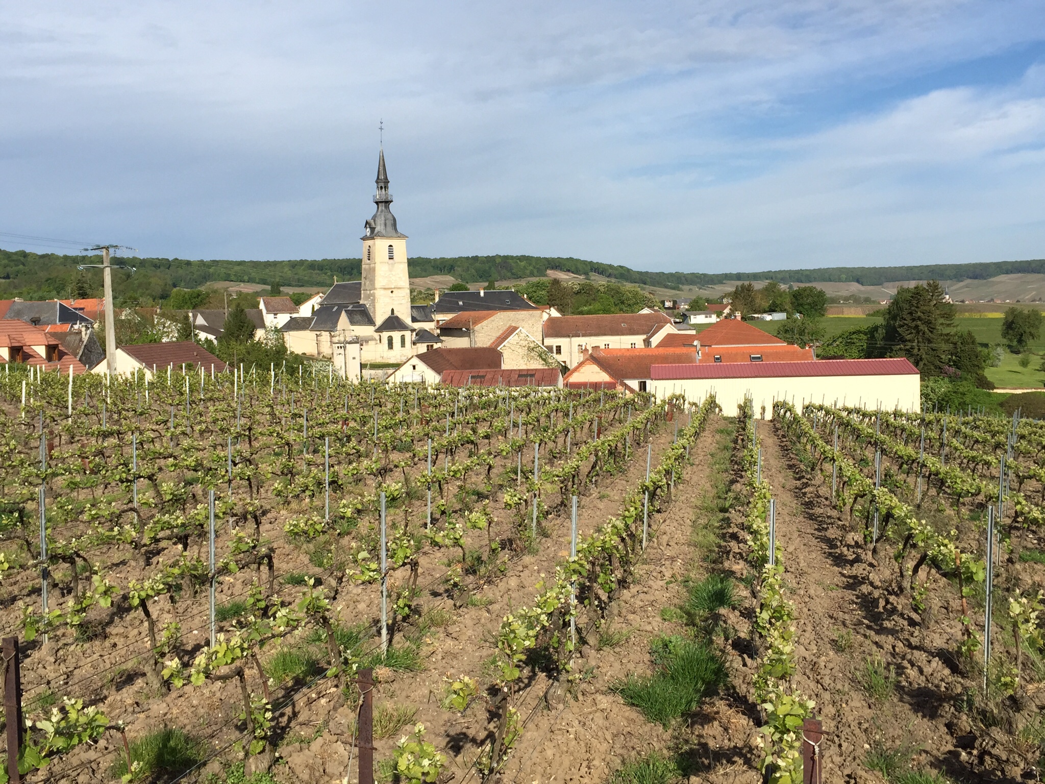 Photo n° 3 de l'avis de Göran.a fait le 17/04/2017 à 13:16