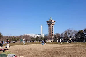 Sagamihara Asamizo Park Petting Zoo image