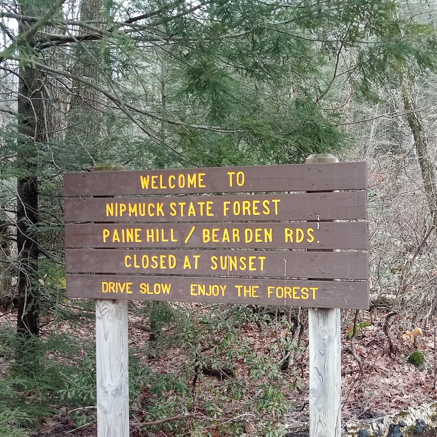 Nipmuck State Forest
