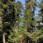 Photo n°2 de l'avis de Petra.c fait le 11/08/2019 à 14:42 sur le  Hotel Teuchelwald - Martha-Maria Gesundheitspark Hohenfreudenstadt gGmbH à Freudenstadt