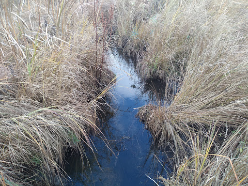 Nature Preserve «Kishwauketoe Nature Conservancy», reviews and photos, 251 Elkhorn Rd, Williams Bay, WI 53191, USA