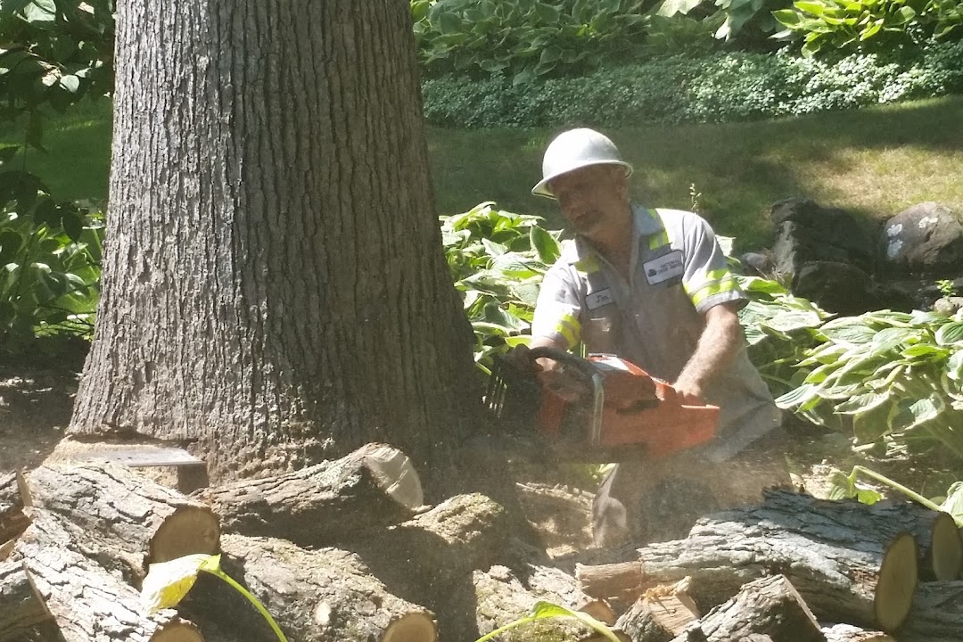 National Tree Service