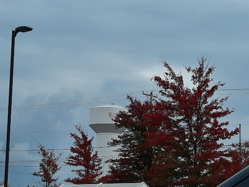 Grocery Store «ShopRite of Mullica Hill», reviews and photos, 143 Bridgeton Pike, Mullica Hill, NJ 08062, USA