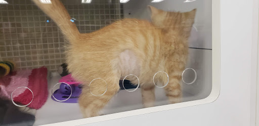 Pet Supply Store «Petco Animal Supplies», reviews and photos, 3115 Iowa St, Lawrence, KS 66046, USA