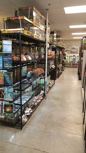 Pet Store «Exotic Pets», reviews and photos, 2410 N Decatur Blvd #160, Las Vegas, NV 89108, USA