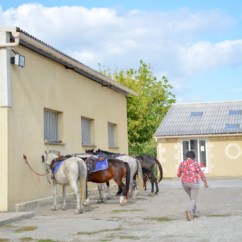 Ecuries de Brandeau - Centre Equestre à Les Salles-de-Castillon