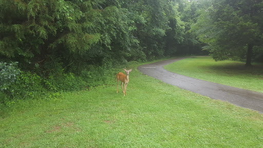 Park «Lee Victory Recreation Park», reviews and photos, 110 Sam Ridley Pkwy E, Smyrna, TN 37167, USA