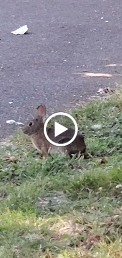 Park «Willamette Park», reviews and photos, SW Macadam Ave, Portland, OR 97219, USA