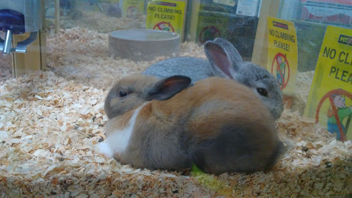 Pet Supply Store «Pet Supermarket», reviews and photos, 2924 13th St, St Cloud, FL 34769, USA