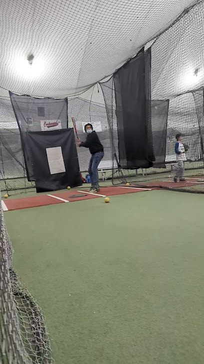 Absolute Baseball Academy & Fitness Centre
