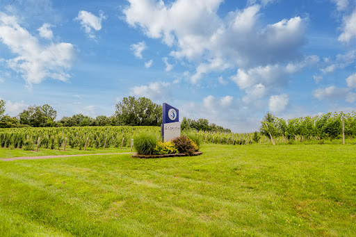 Winery «Gravity Vineyards and Winery», reviews and photos, 10220 Lauer Rd, Baroda, MI 49101, USA