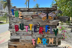 Butterfly Farm image