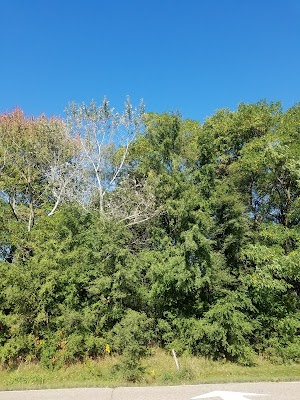 Groveland Park - photo 29