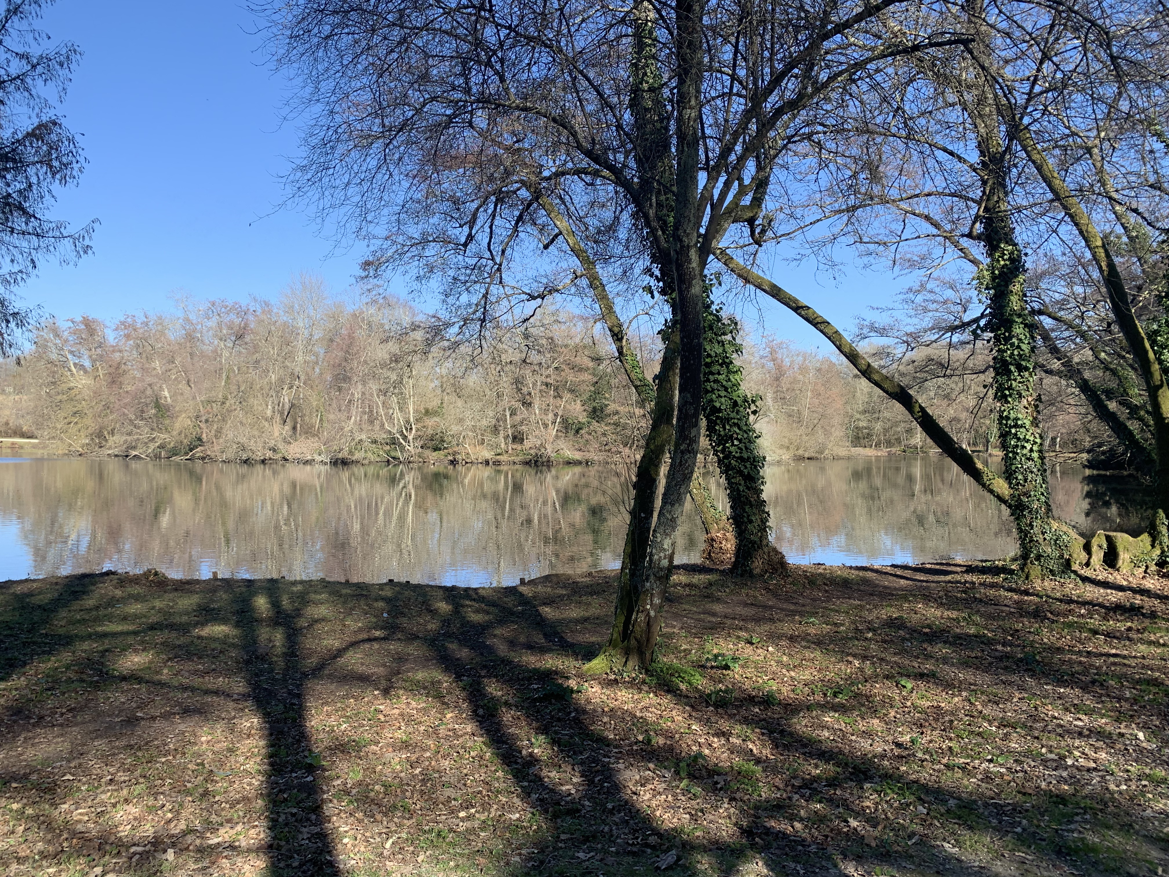 Photo n° 25 de l'avis de Esteban.R fait le 13/02/2023 à 17:04