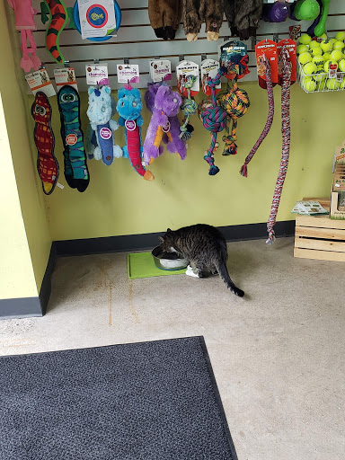 Pet Supply Store «Urban Tails Pet Supply», reviews and photos, 2106 Lyndale Ave S, Minneapolis, MN 55405, USA