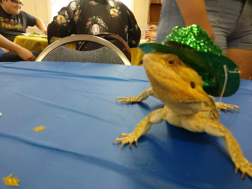 Pet Supply Store «PetSmart», reviews and photos, 2 Brick Plaza, Brick, NJ 08723, USA