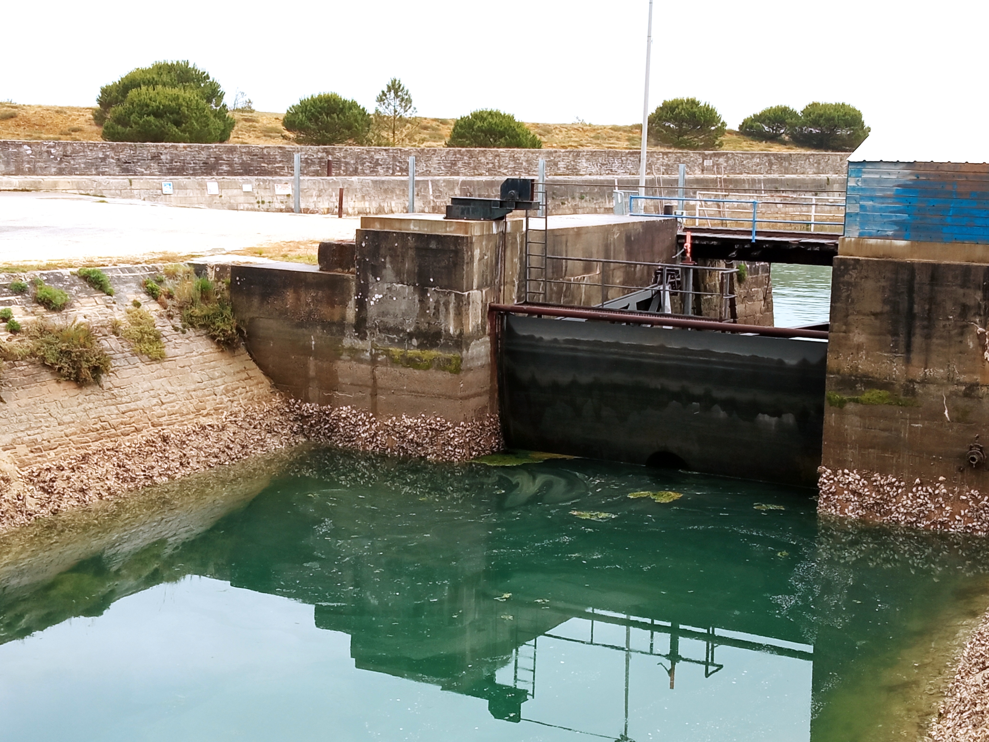 Photo n° 1 de l'avis de Chris.s fait le 03/06/2021 à 10:42