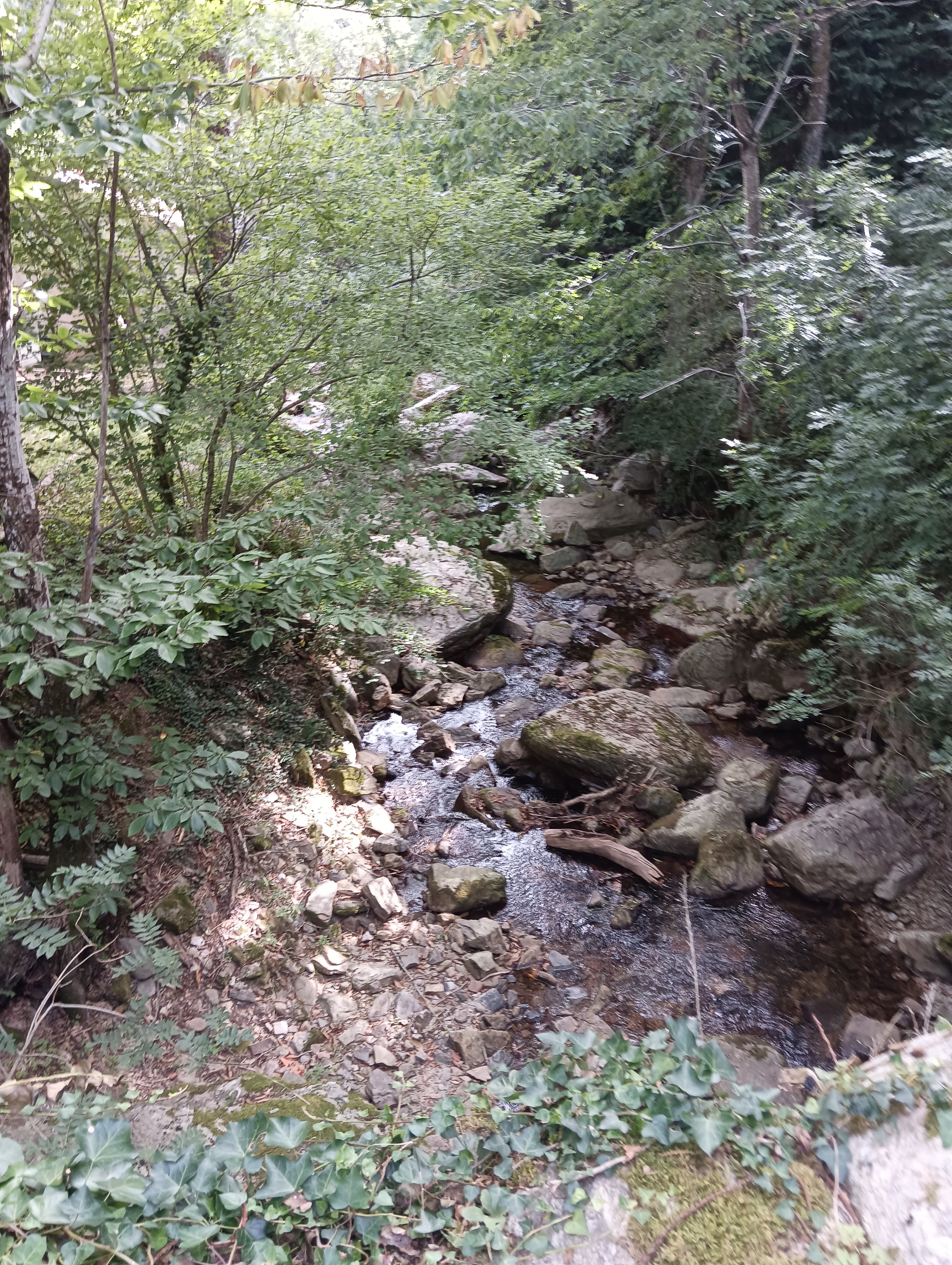 Photo n° 22 de l'avis de Bilbon.A fait le 06/09/2023 à 20:58