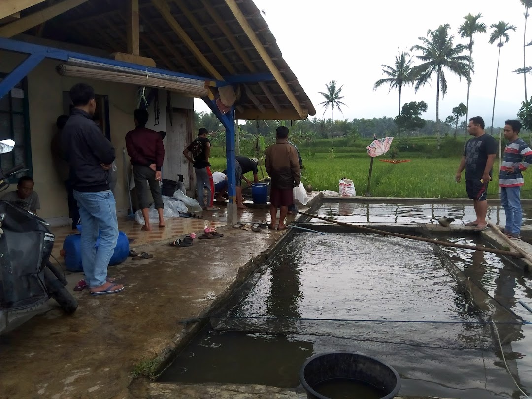 Pusat Pembenihan Ikan Nila Gesit