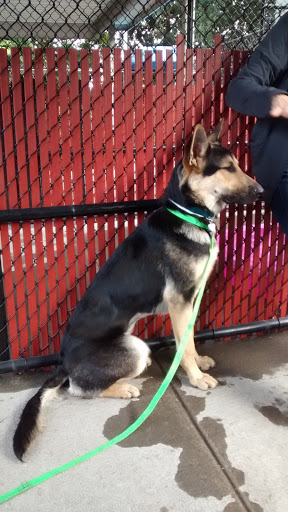 Animal Shelter «Oregon Humane Society», reviews and photos