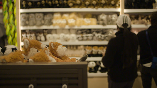 Zoo «Houston Zoo», reviews and photos, 6200 Hermann Park Dr, Houston, TX 77030, USA