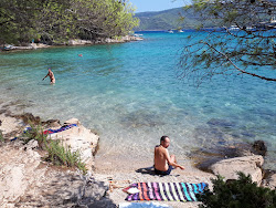 Paklena beach'in fotoğrafı vahşi alan