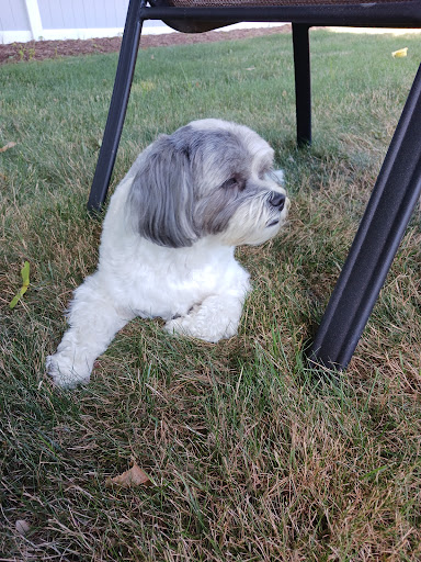 Pet Supply Store «PetSmart», reviews and photos, 104 Andover St, Danvers, MA 01923, USA