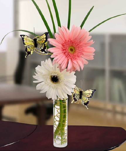 Florist «Alfa Flower Shop», reviews and photos, 7001 W North Ave, Wauwatosa, WI 53213, USA