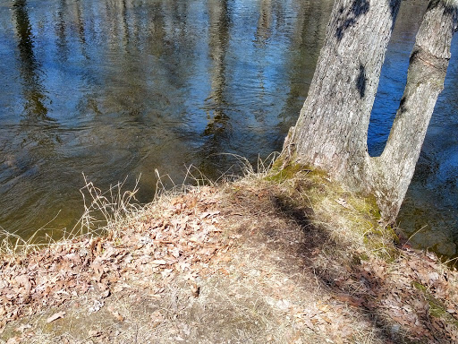 Nature Preserve «Leonard Preserve», reviews and photos, N Union St, Manchester, MI 48158, USA