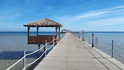 Albatros Amwaj Blue Beach Resort'in fotoğrafı otel alanı