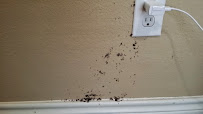 Ameri-Tech Termite & Pest Control, Inc. - Photo 2 - Car repair in Fort Worth, TX, Fort Worth