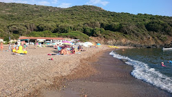 Photo de Plage de Punta Rossa II zone des équipements