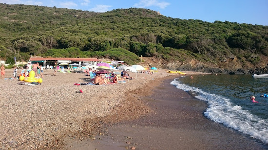 Plage de Punta Rossa II