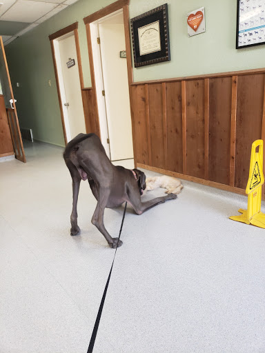 Marlin Veterinary Clinic