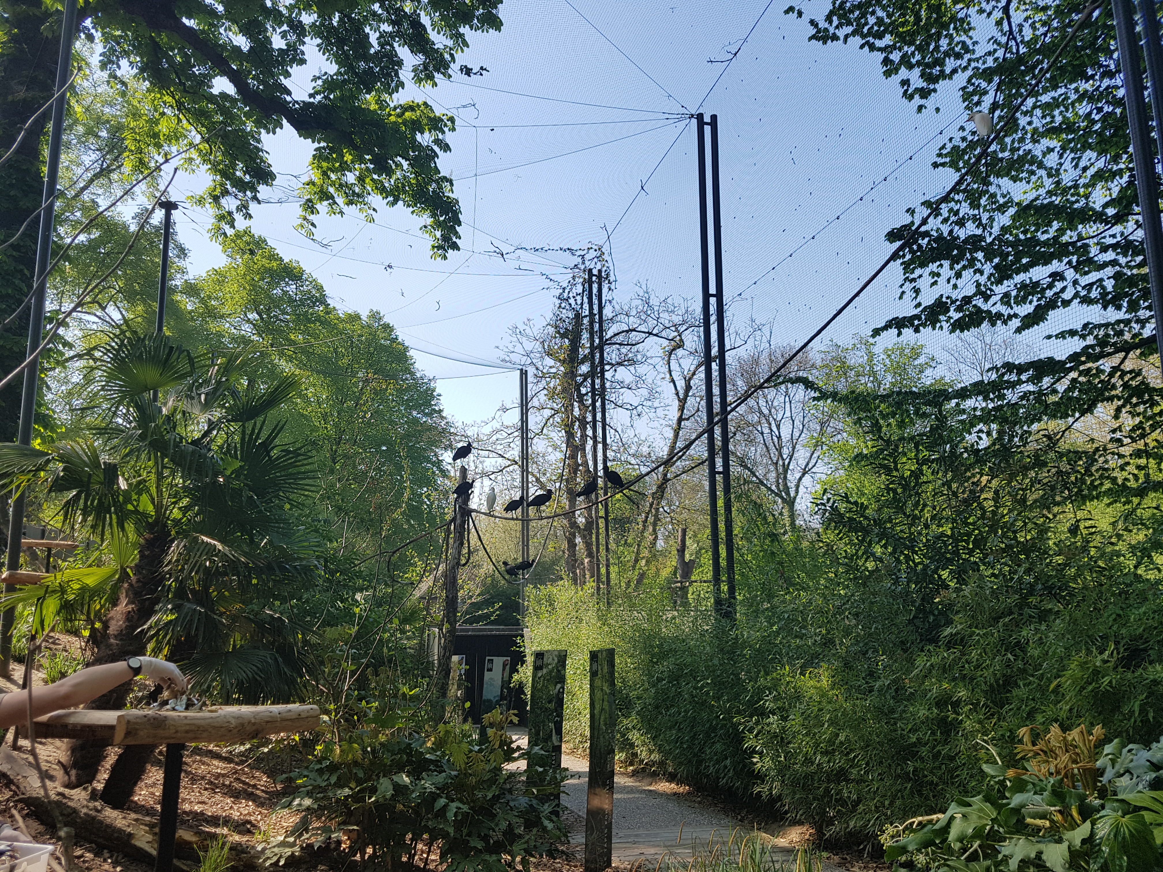 Photo n° 5 de l'avis de Celia.a fait le 30/04/2019 à 08:20