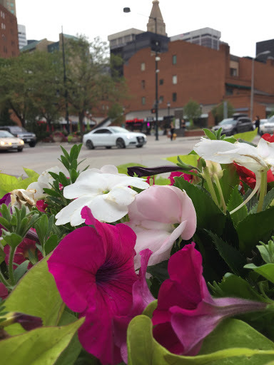 Shopping Mall «Larimer Square», reviews and photos, 1430 Larimer St, Denver, CO 80202, USA