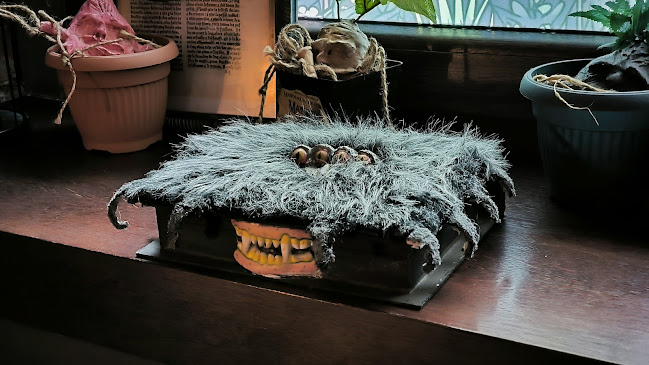 Bogucicka 6, 40-226 Katowice