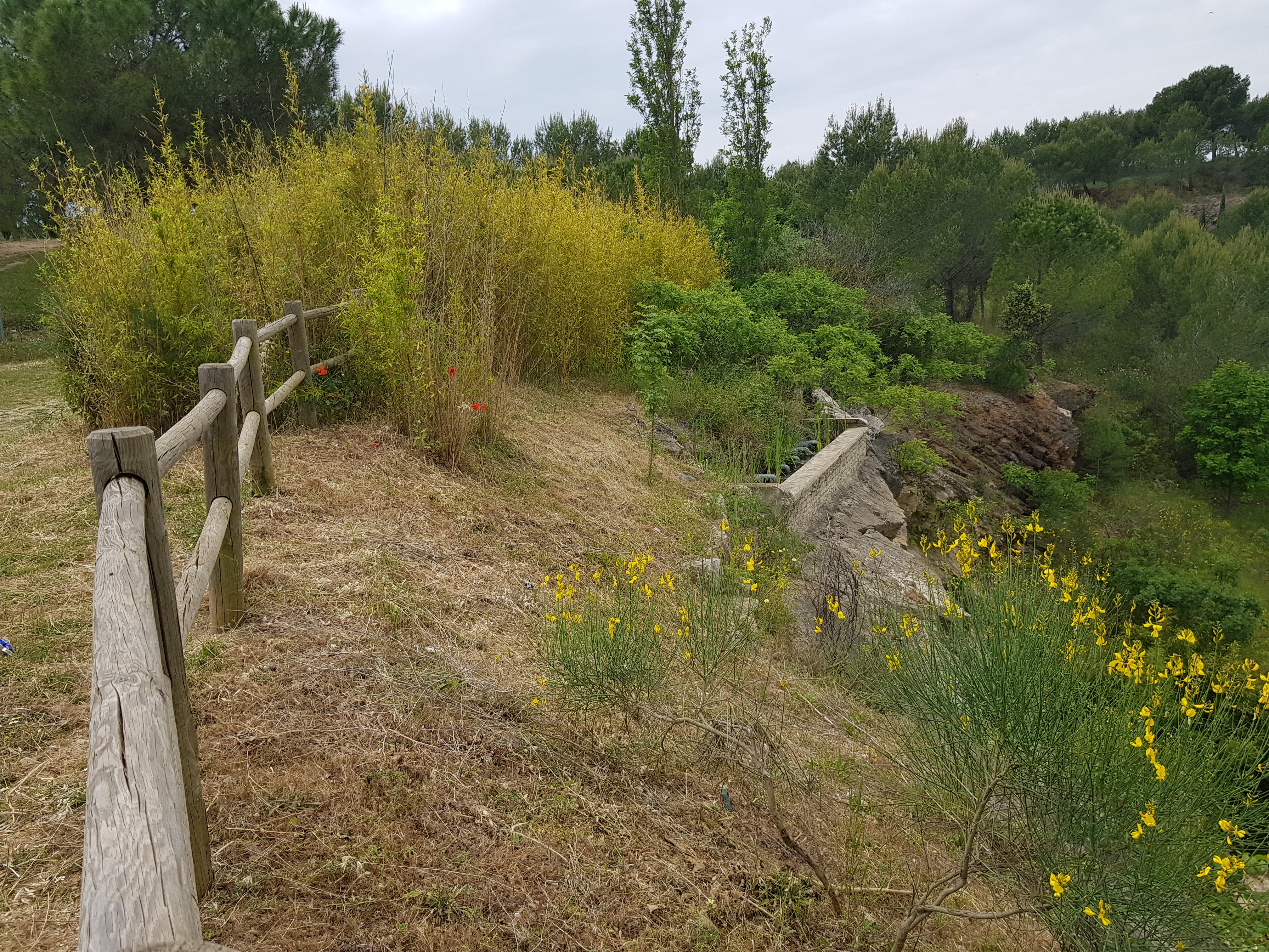 Photo n° 5 de l'avis de Bruno.S fait le 25/05/2019 à 10:24