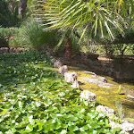 Photo n°13 de l'avis de Maz.a fait le 03/07/2023 à 13:22 sur le  Falésia Hotel à Albufeira