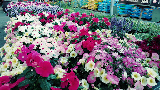 Home Improvement Store «The Home Depot», reviews and photos, 8850 San Ysidro Ave, Gilroy, CA 95020, USA