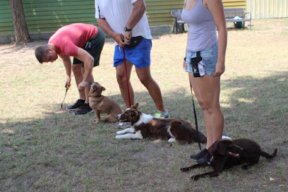 Dog-Like Kutyakozmetika és Panzió