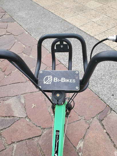 Renta de Bicicletas BiBikes