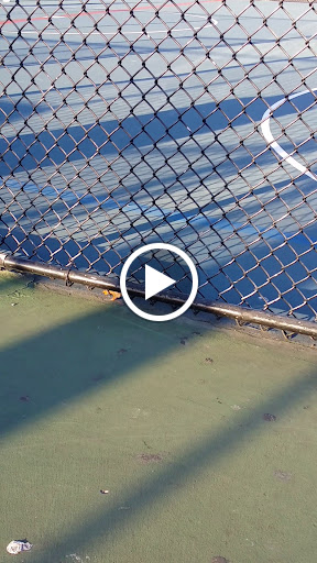 Park «Hickory Hills Park», reviews and photos, 8047 W 91st Pl, Hickory Hills, IL 60457, USA