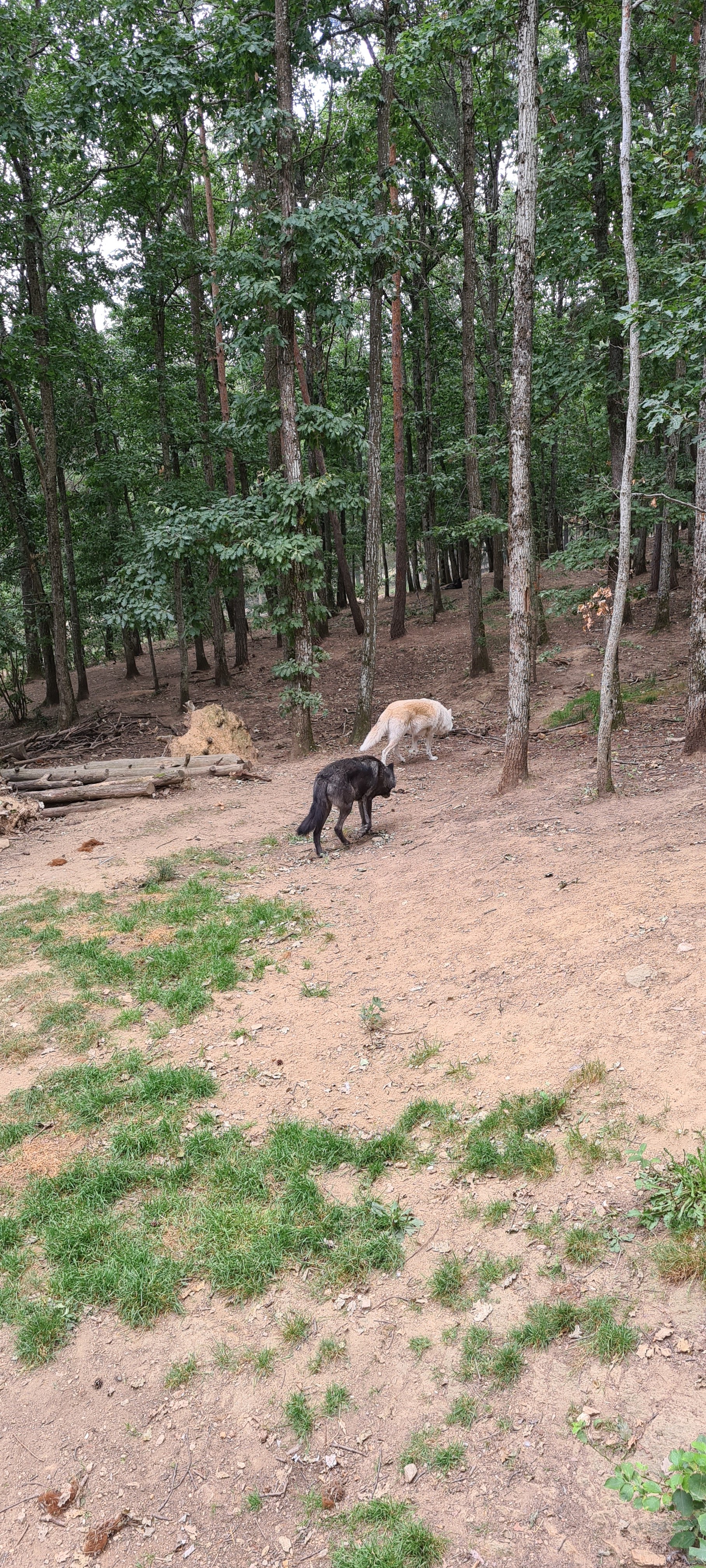 Photo n° 37 de l'avis de cyndie.a fait le 29/08/2021 à 17:17